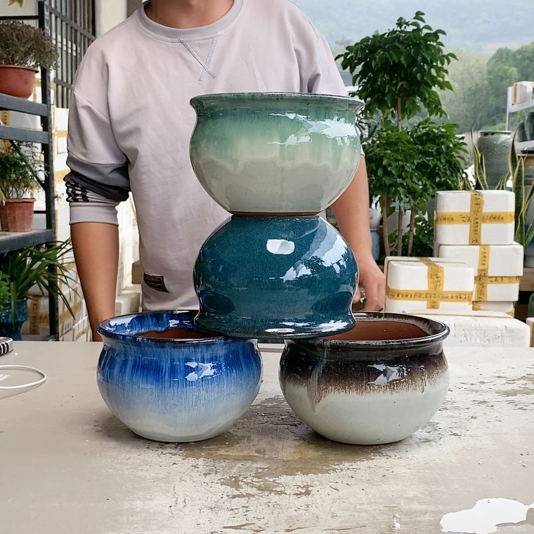 红陶20CM以下向兰拼