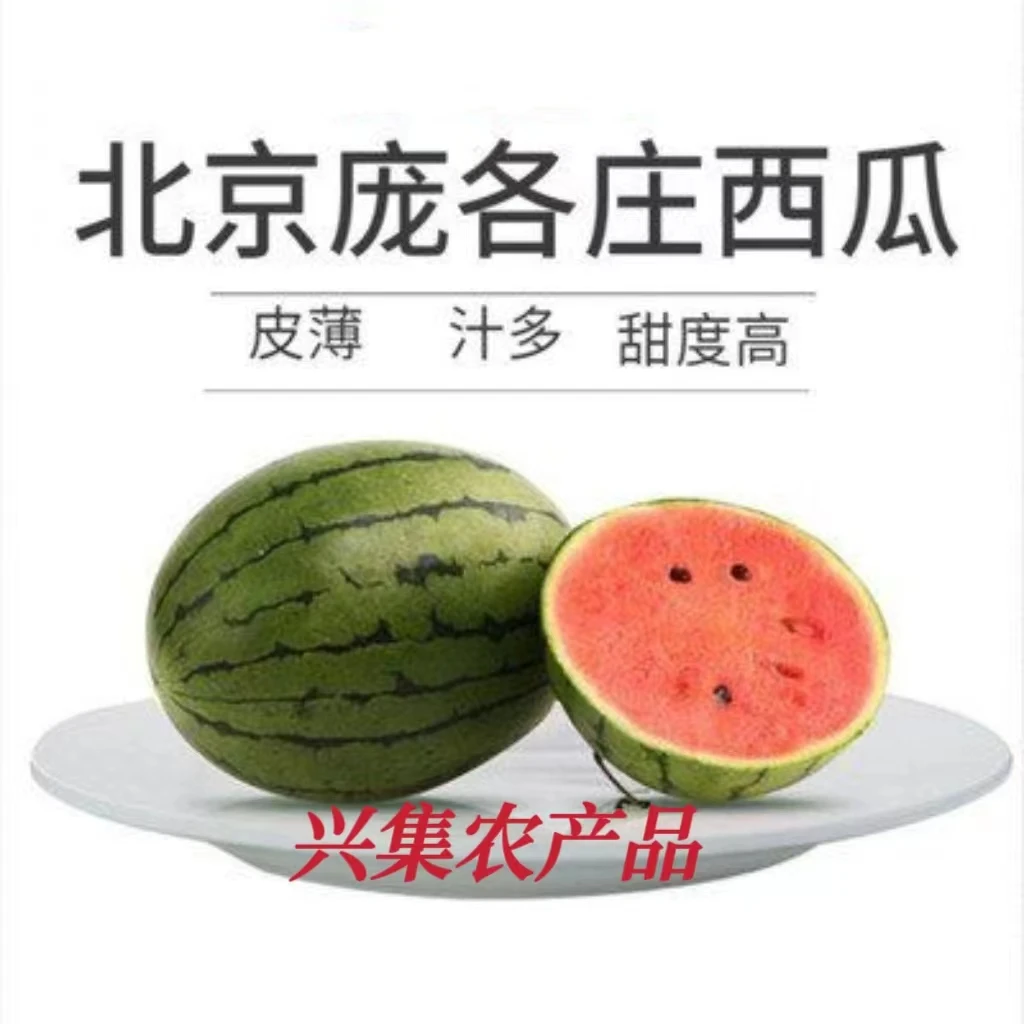 （顺丰包邮）庞各庄头茬秋季西瓜 皮薄脆甜多汁 产地直发 新鲜现摘