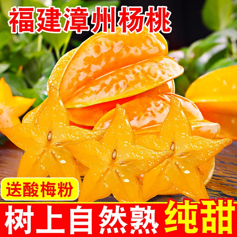 下河杨桃5斤装新鲜当天采摘树上熟应季水果多汁坏果包赔丰收季