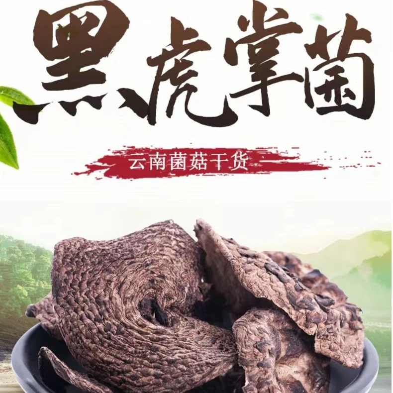 黑~虎~掌~菌 云南土特产山货黑虎掌菌生态农产品食用营养品