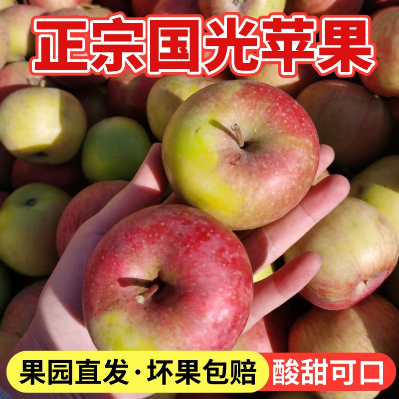 【正宗小国光】酸甜老味道新鲜青苹果孕妇水果小国光整箱批发