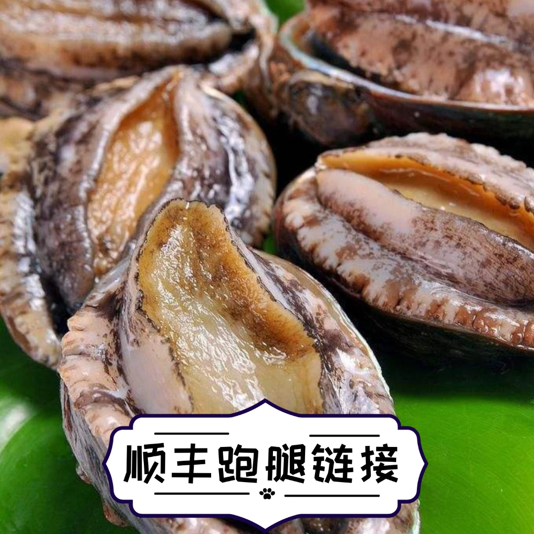 跑腿顺丰冷链1-3小时到达鲍鱼200g