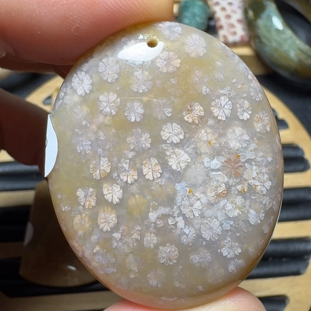 硅化珊瑚(珊瑚玉)纯天然色有机玉石未镶嵌