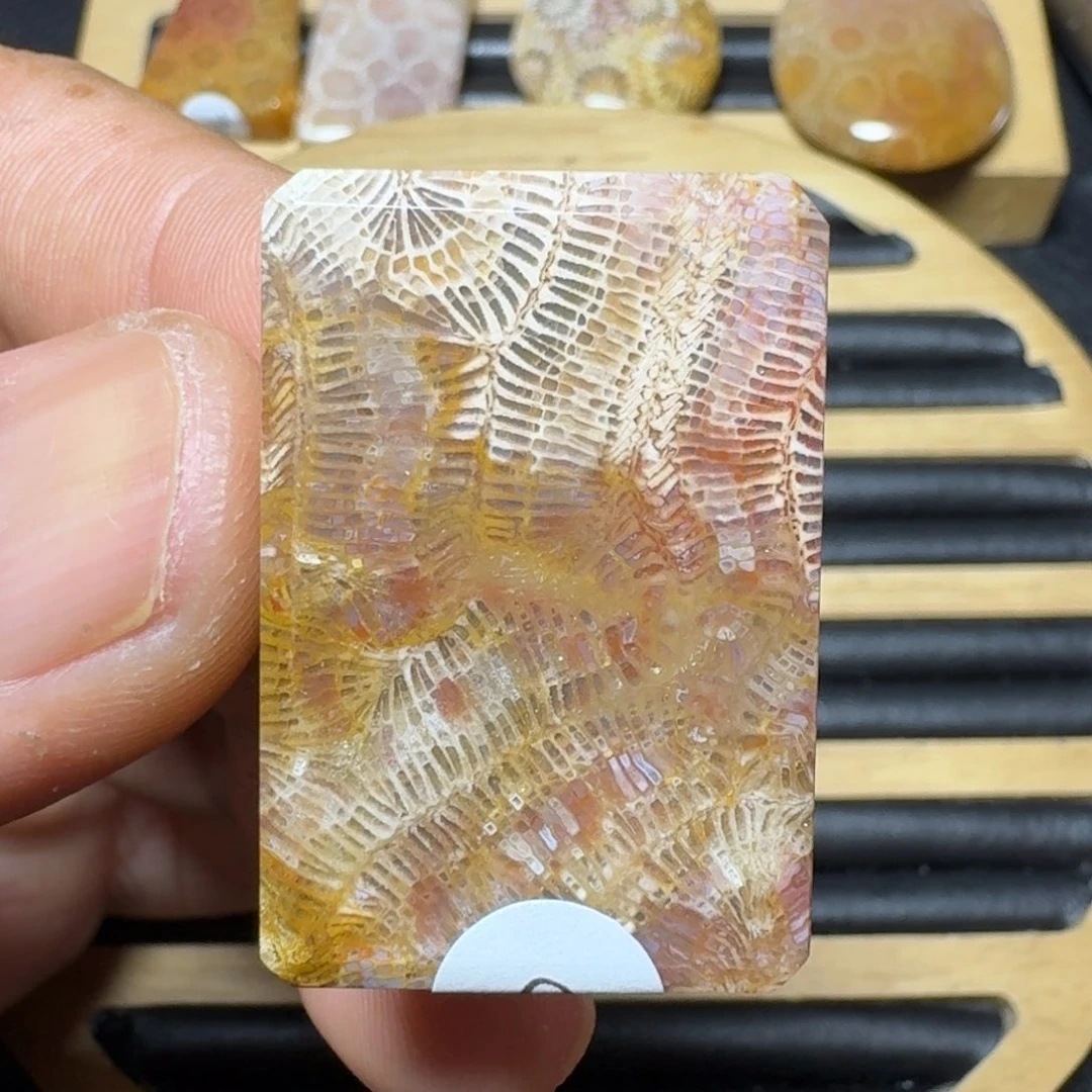 硅化珊瑚（珊瑚玉）纯天然色有机玉石未镶嵌