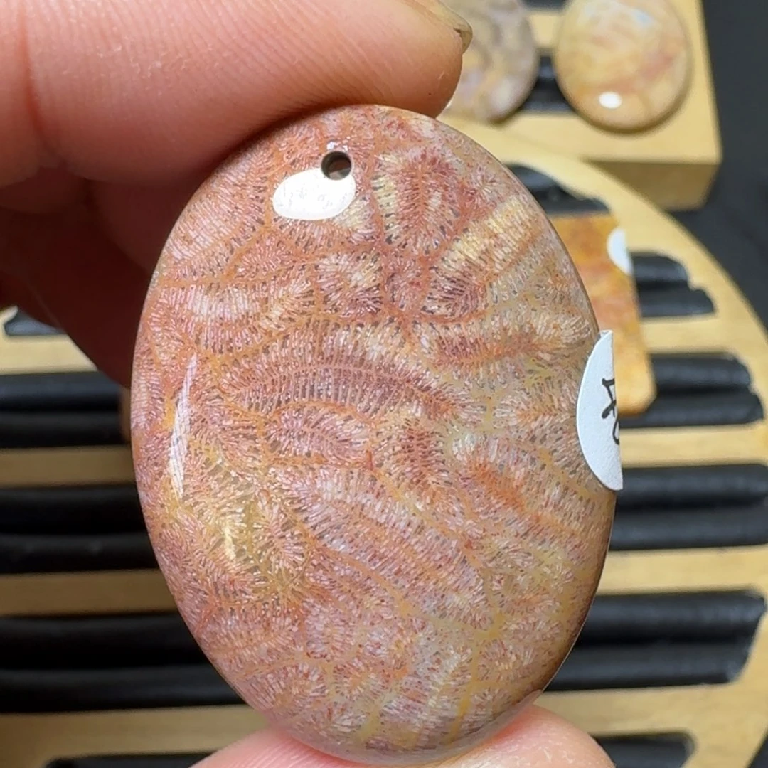 硅化珊瑚(珊瑚玉)纯天然色有机玉石未镶嵌