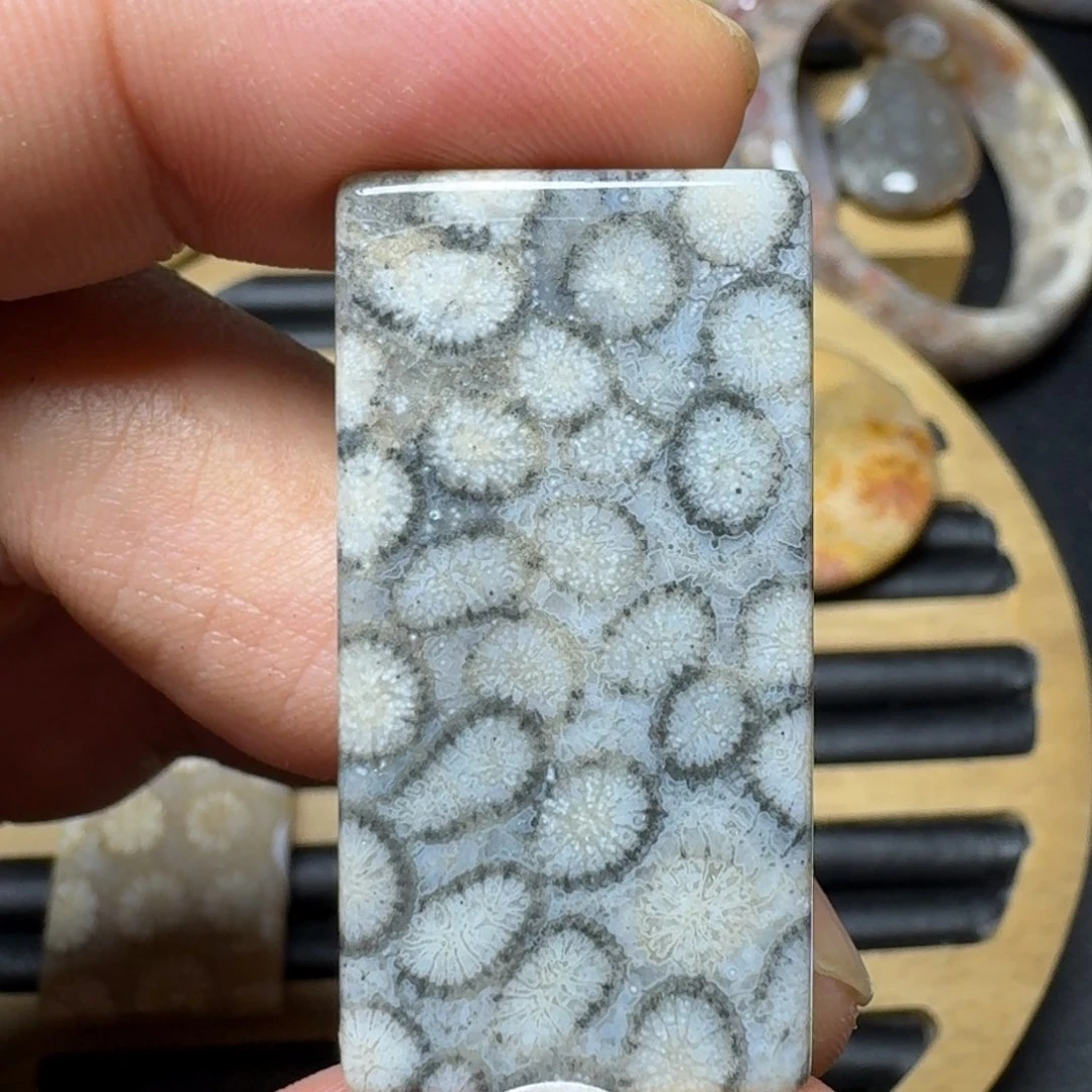 硅化珊瑚（珊瑚玉）纯天然色有机玉石未镶嵌