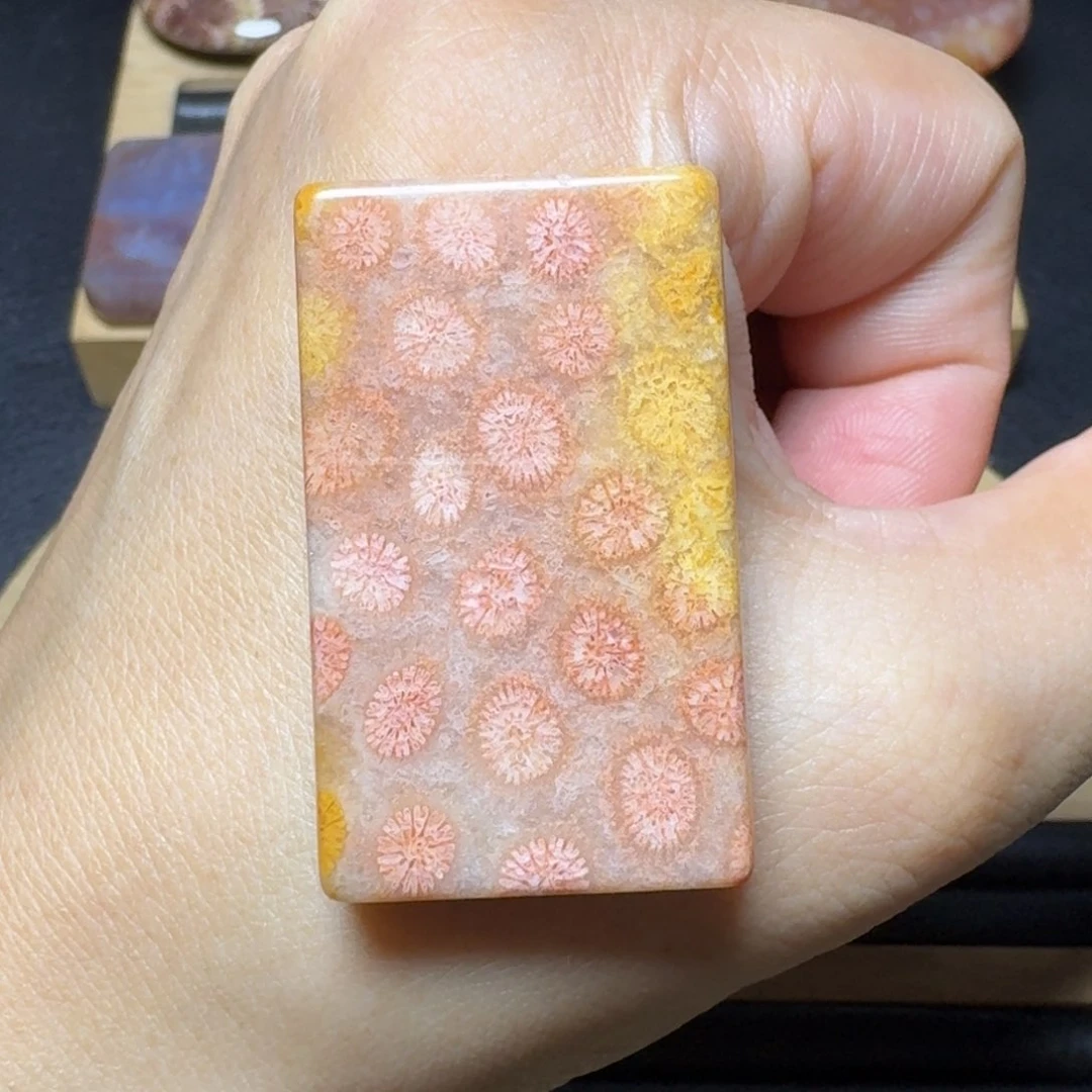 硅化玉特别的少数色未镶嵌