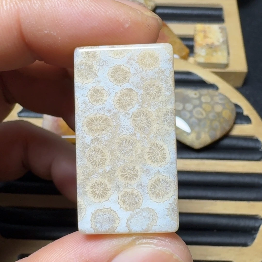 硅化珊瑚(珊瑚玉)纯天然色有机玉石未镶嵌