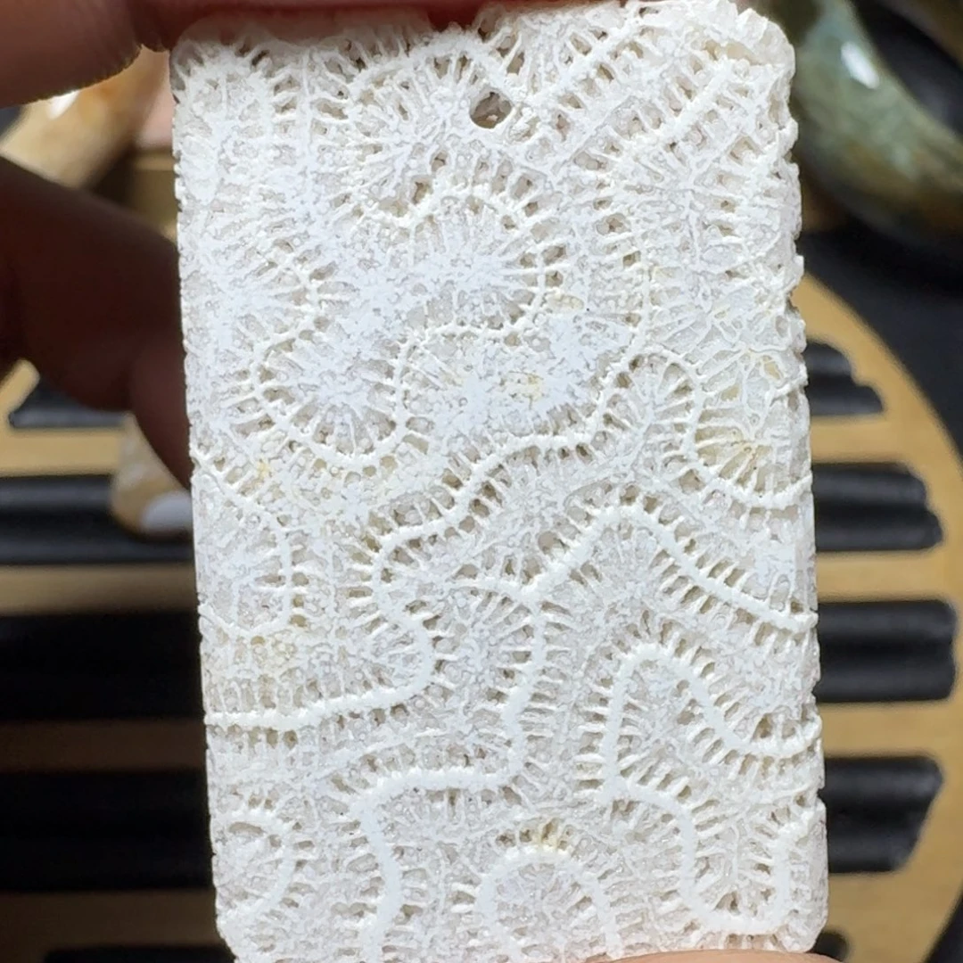 硅化珊瑚（珊瑚玉）纯天然色有机玉石未镶嵌瑕疵特价不退换