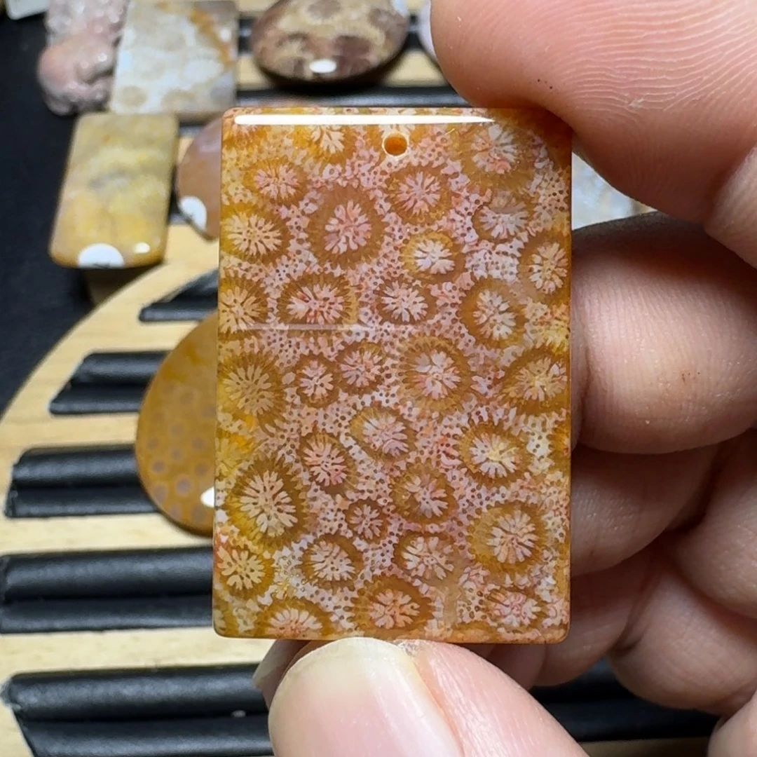 硅化珊瑚(珊瑚玉)纯天然色有机玉石未镶嵌