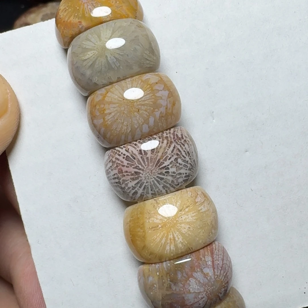 硅化珊瑚（珊瑚玉）纯天然色有机玉石未镶嵌