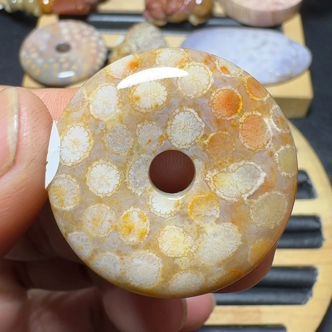 硅化珊瑚（珊瑚玉）纯天然色有机玉石未镶嵌
