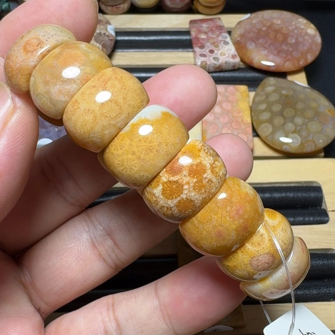 硅化珊瑚（珊瑚玉）纯天然色有机玉石未镶嵌