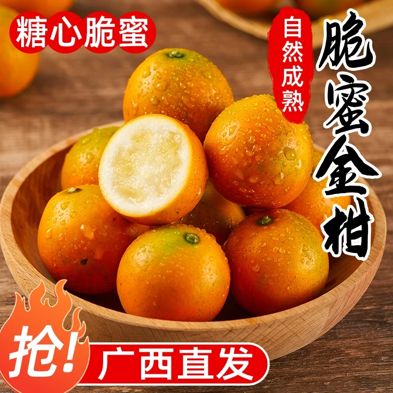 广西融安脆蜜金桔第三代脆蜜金柑桂林新鲜采摘纯甜无酸无籽无核