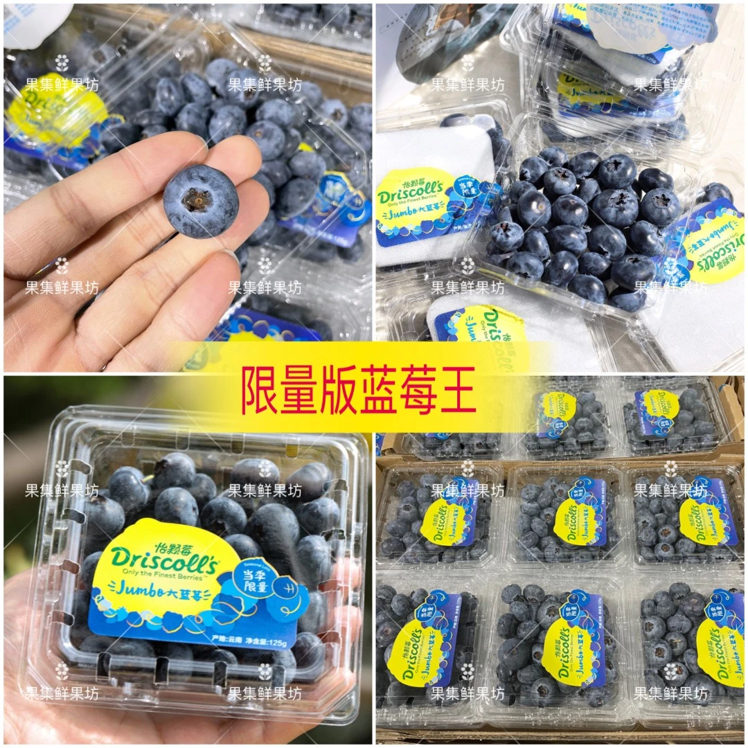 Driscoll's/怡颗莓当季云南怡颗蓝莓中果/蓝莓王125g/盒发顺丰