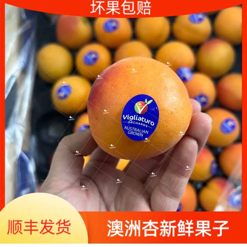 现货当季澳大利亚进口秋蜜黄杏1-4斤装新鲜澳洲杏子水果发顺丰