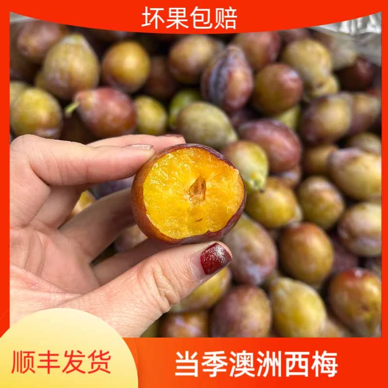 现货澳洲进口西梅1斤起李子多汁宝宝辅食当季新鲜水果发顺丰