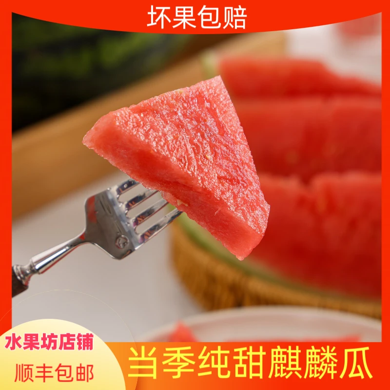 当季现货麒麟瓜系列西瓜1个6-8斤装清甜爽口新鲜水果发顺丰