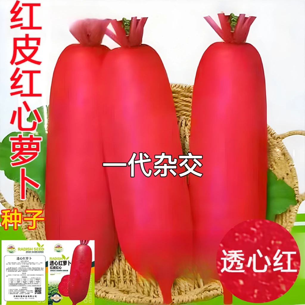 红萝卜种籽红皮肉红心萝卜种子甜脆透心红四川秋季农家田园蔬菜孑