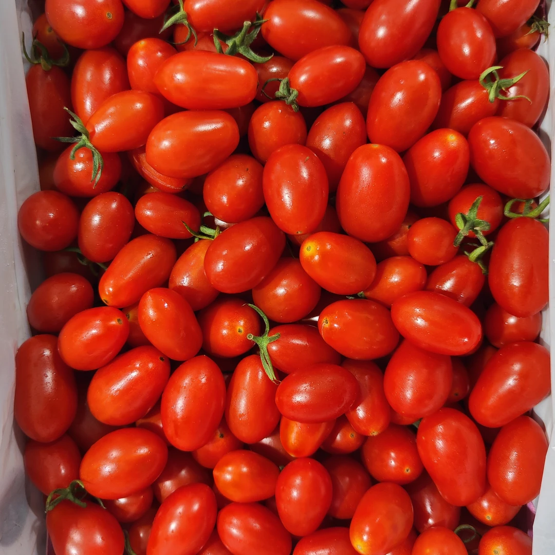 【一箱】千禧小柿子 新鲜水果 一盒毛重2.5斤左右