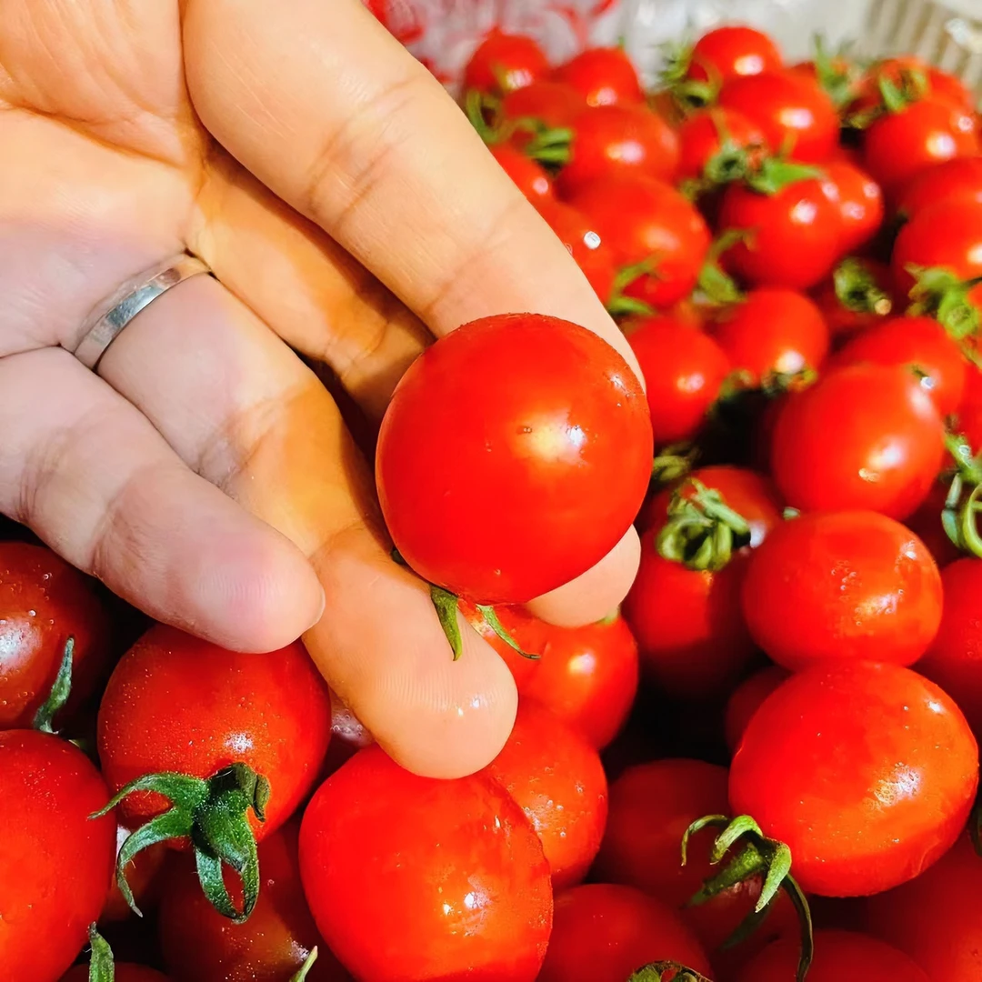 【一箱】千禧小柿子 新鲜水果 一盒毛重2.5斤左右