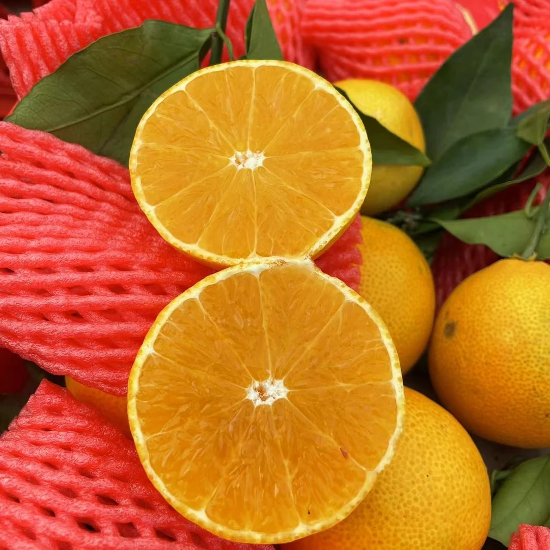 【散装五斤】爱媛果冻橙大果  只限山西省内可拍