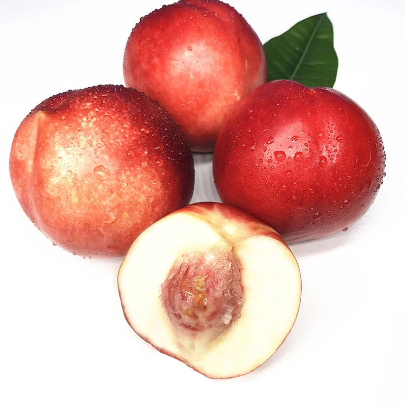 【冠哥甄选】澳大利亚进口空运油桃 一份5斤装