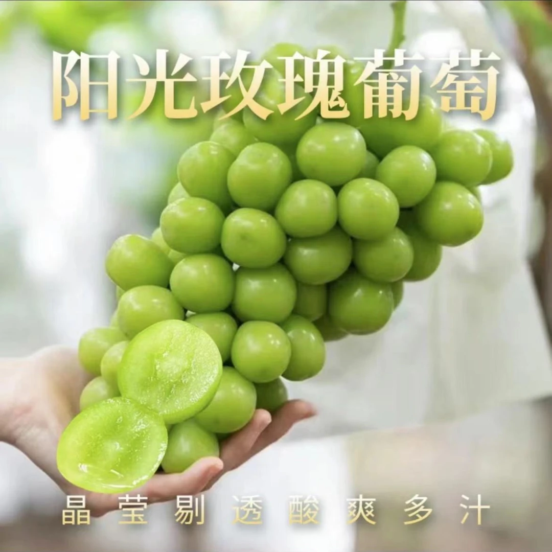 阳光玫瑰晴王香印青提 整箱3串装 毛重3.7斤左右 只发太原市区