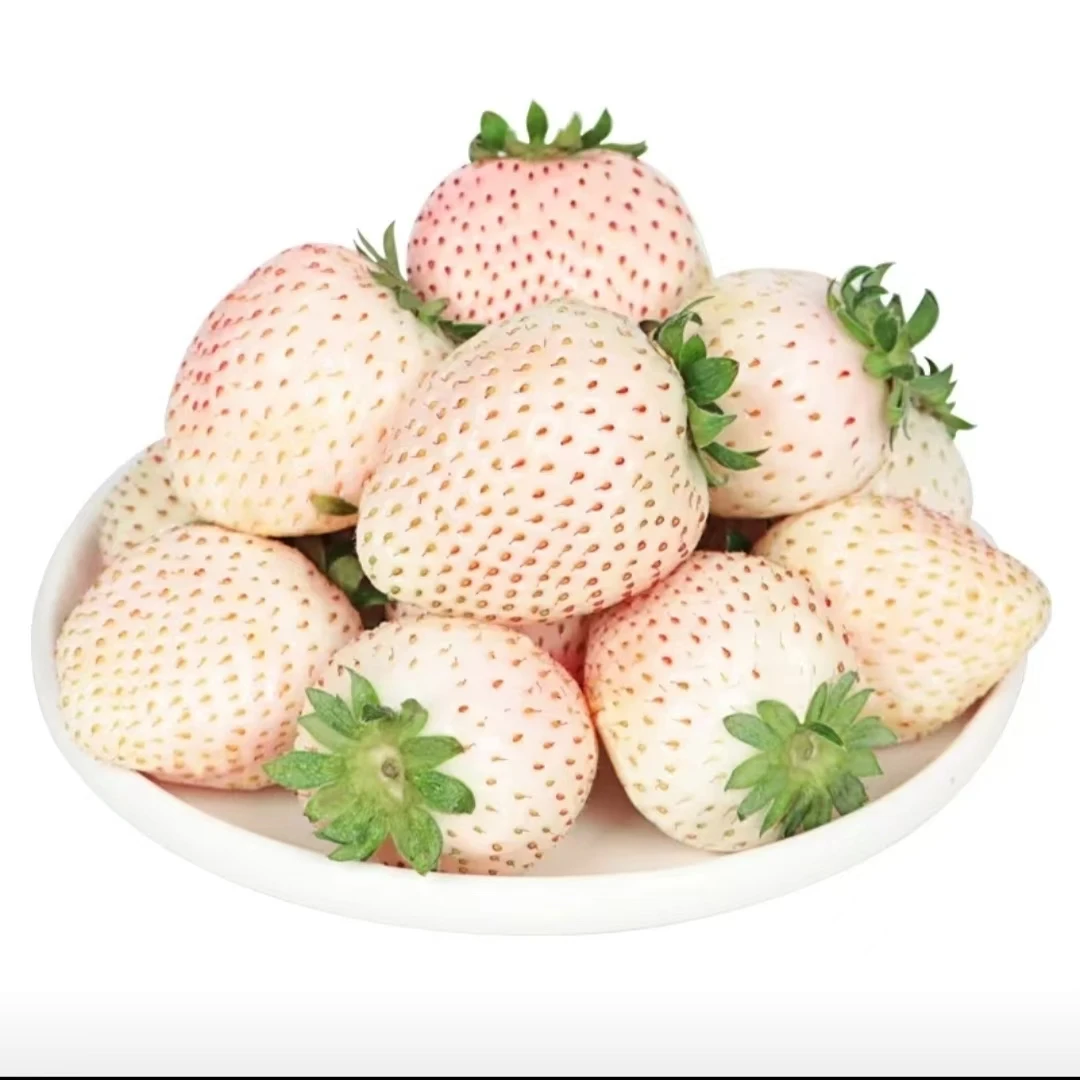 好吃的白草莓  一盒20颗  只发太原市区