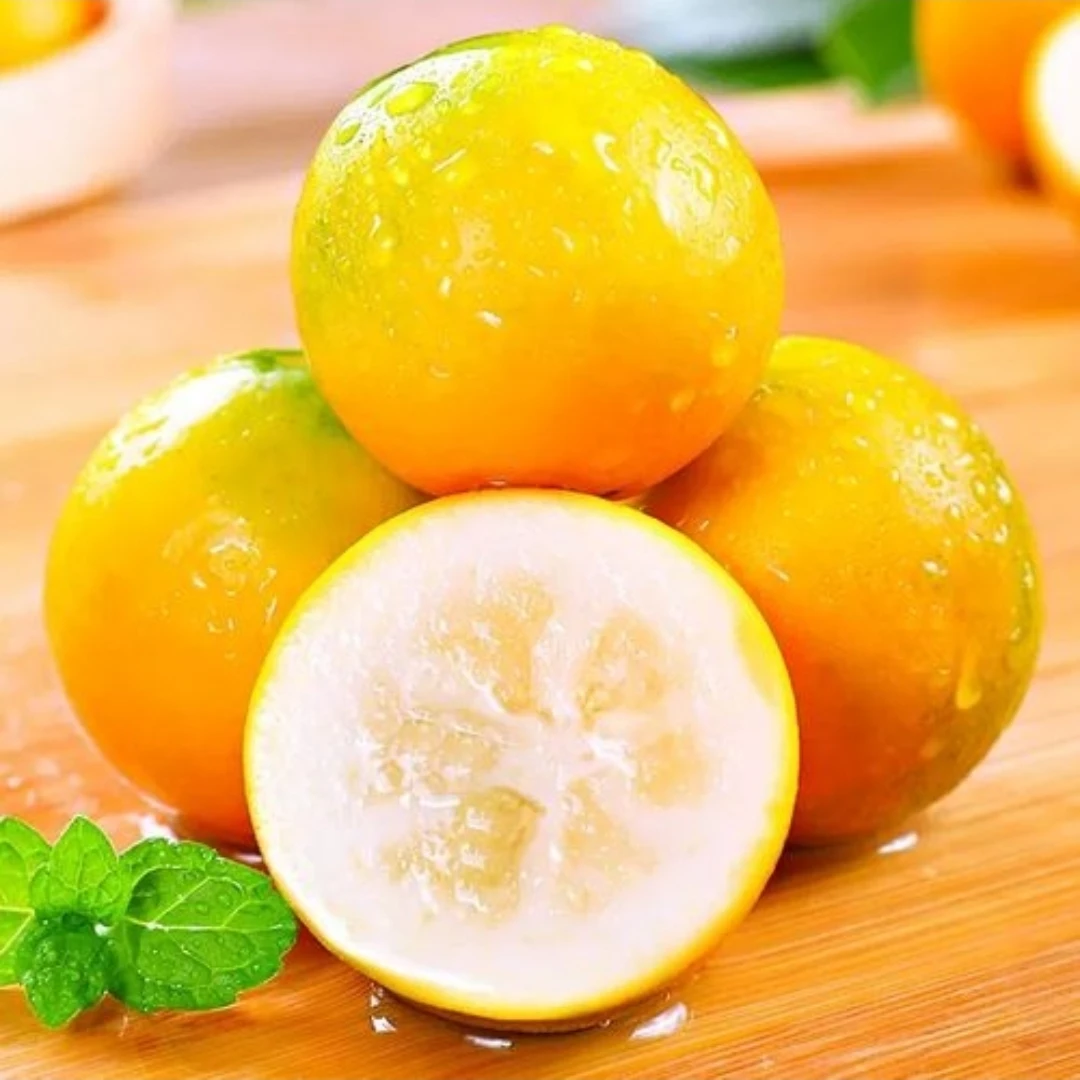 【一箱】脆蜜金柑 纯甜口感好 带箱2斤左右