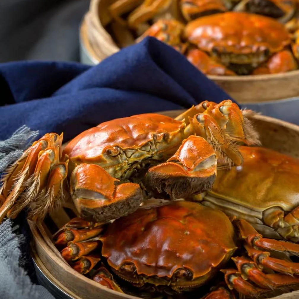 活蟹现发 江苏精品蟹 公4只母4只 公3.6两-3.4两 母2.4两-2.6两
