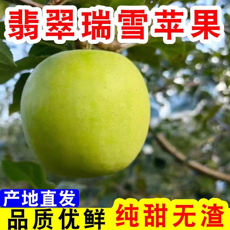 2024年头茬瑞雪苹果青苹果正宗纯甜新鲜应季水果礼盒包邮产地直发