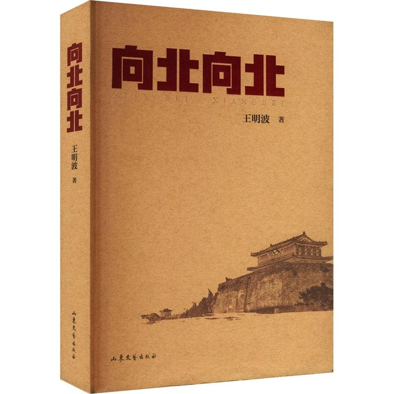 全新正版《向北向北》书籍
