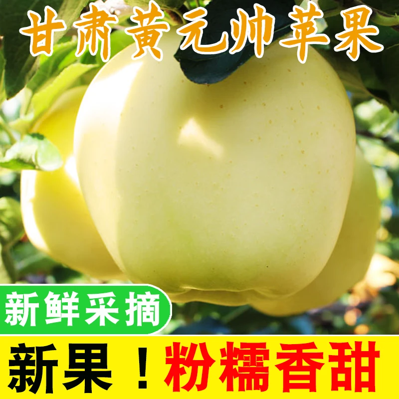 【顺丰包邮】甘肃黄元帅现摘新鲜应当季孕妇水果黄金帅黄香蕉5/9斤