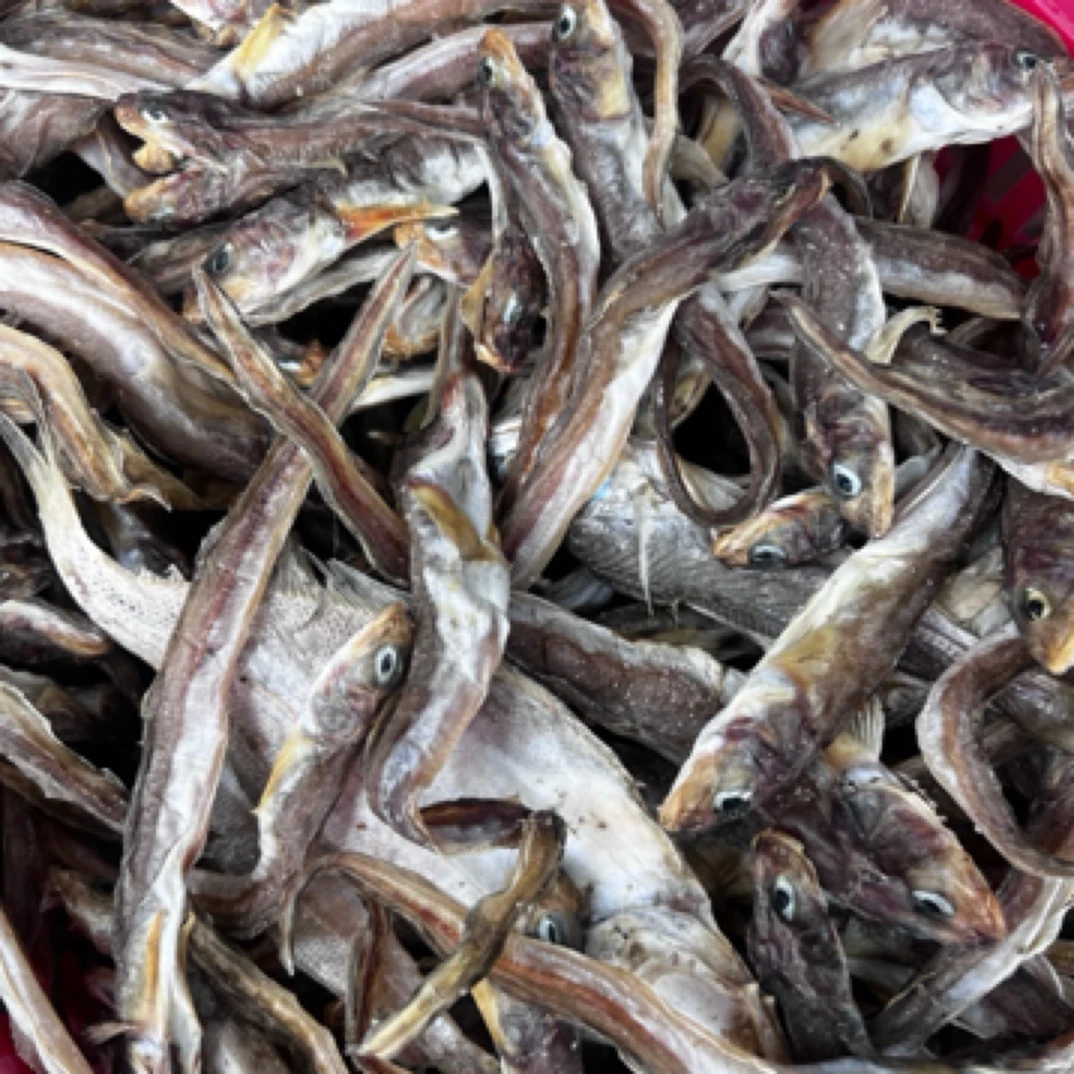 【渔三宝】烟台发 一卤鲜小鲶鱼干速冻发货