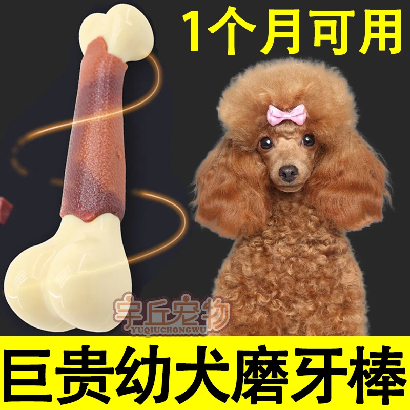 巨型贵宾犬巨贵幼犬专用狗狗磨牙棒玩具骨头一两个月耐咬解闷神器