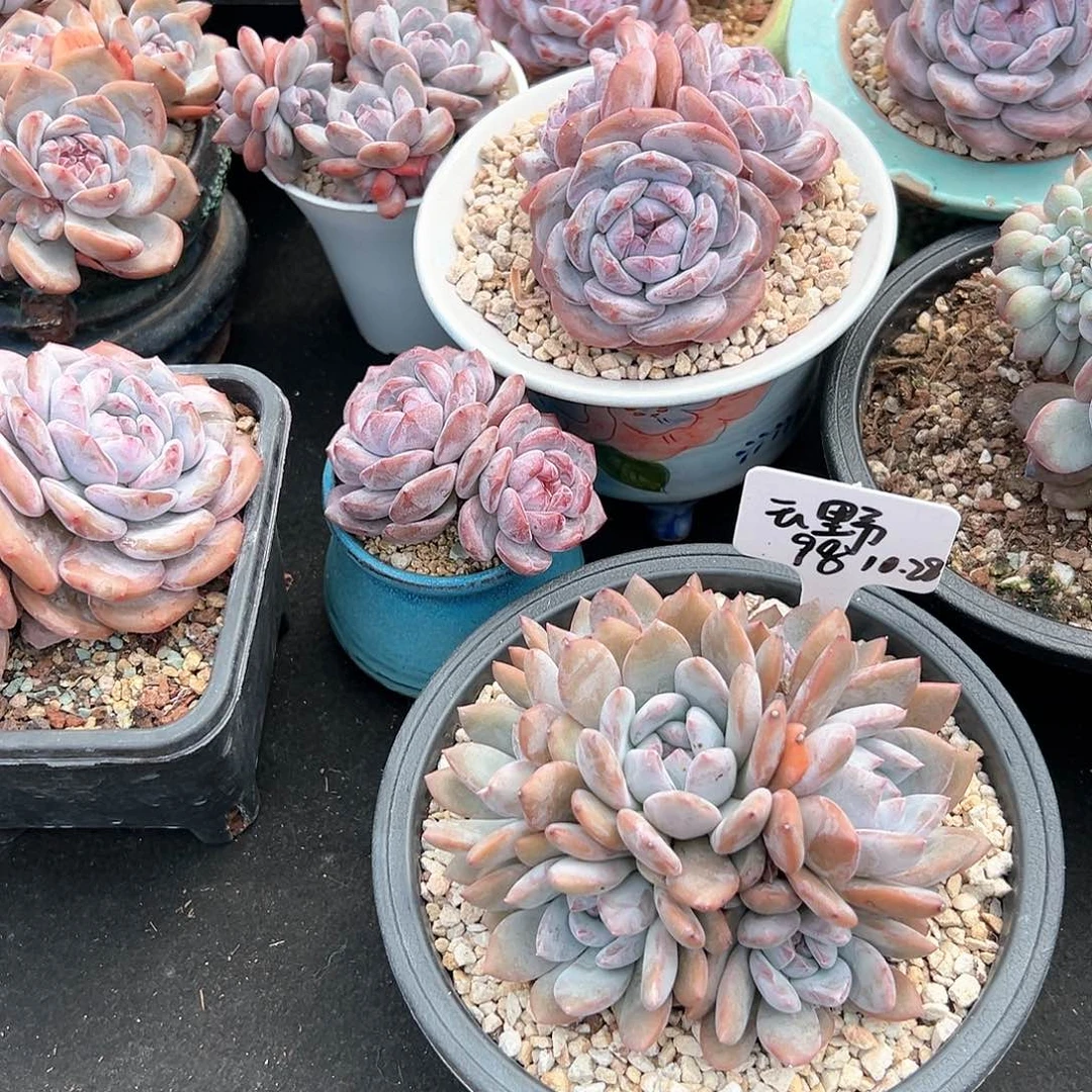 222222222222111111222