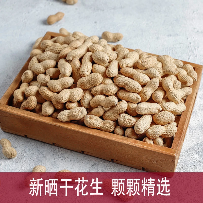 24年新鲜花生带壳生干花生颗颗饱满自然晾晒