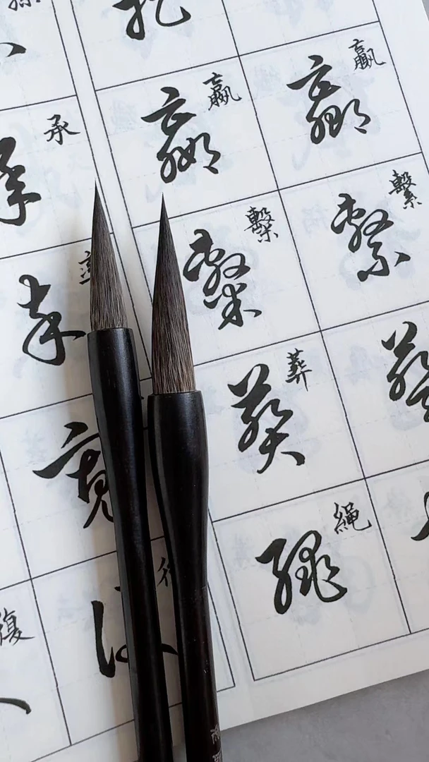 情境翰墨老师专用行草大草作品毛笔