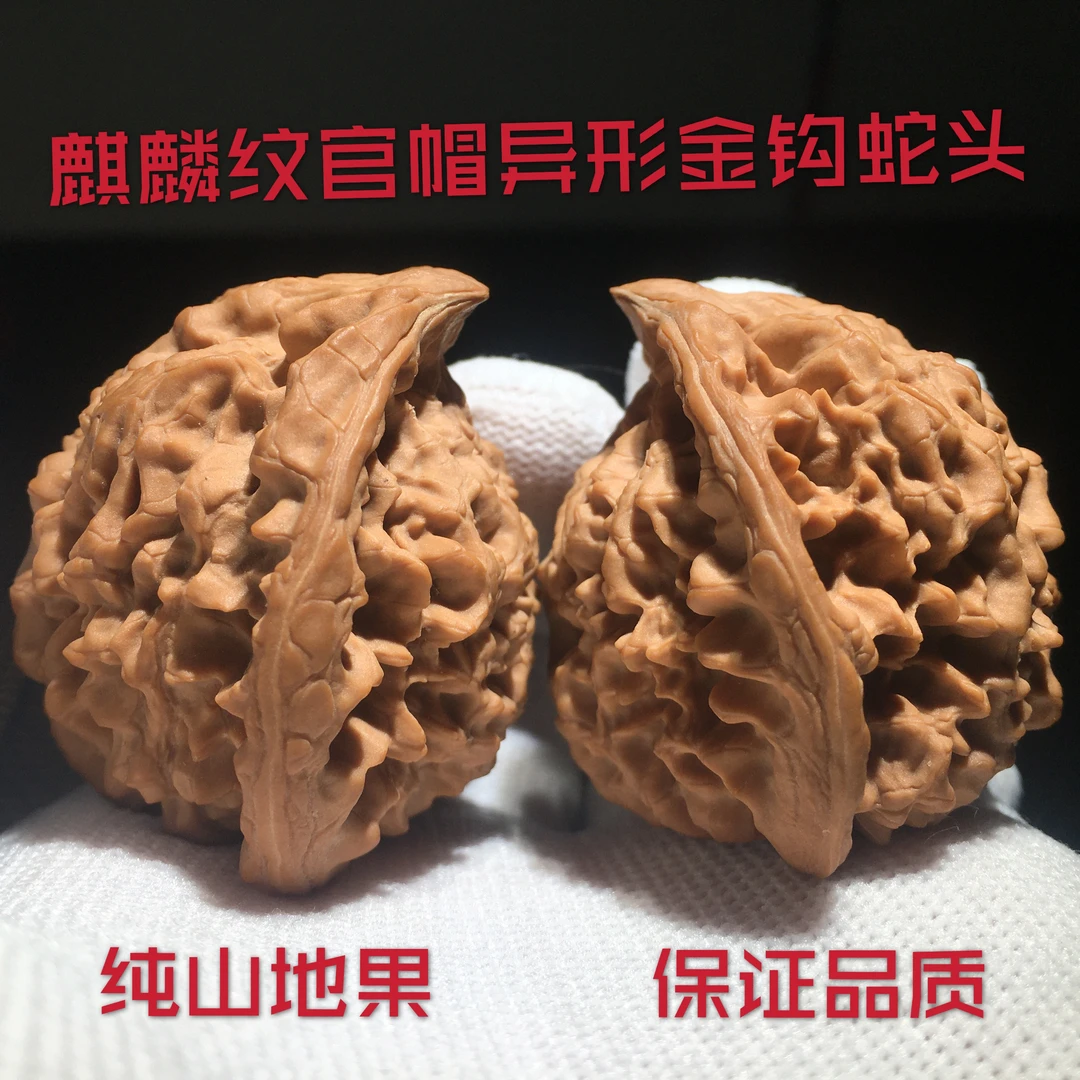 文玩核桃异型蛇头 收藏手把件把玩麻核桃