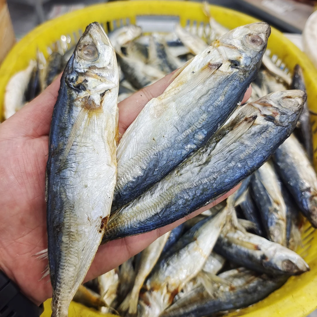 本港巴浪鱼干1斤装咸鱼干海产干货顺丰包邮广东茂名博贺港