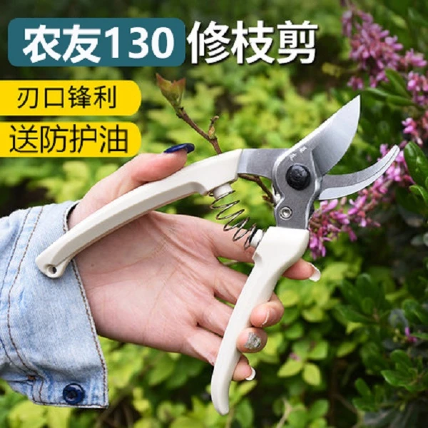 家庭园艺修枝剪园林剪刀果树剪省力剪花木剪刀剪树剪刀修剪树枝