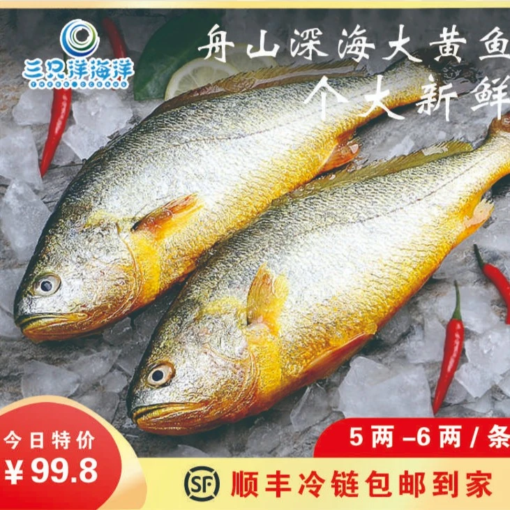速鲜岛舟山深海大黄鱼【一条装】6-8两
