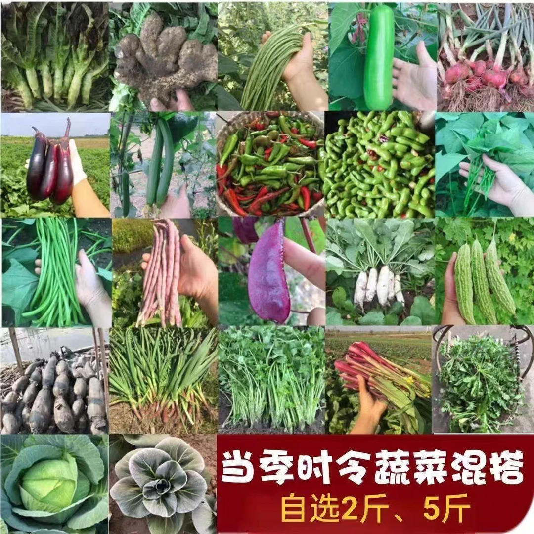 【蔬菜组合】苏北蔬菜组合自由搭配当即新鲜蔬菜现摘现发