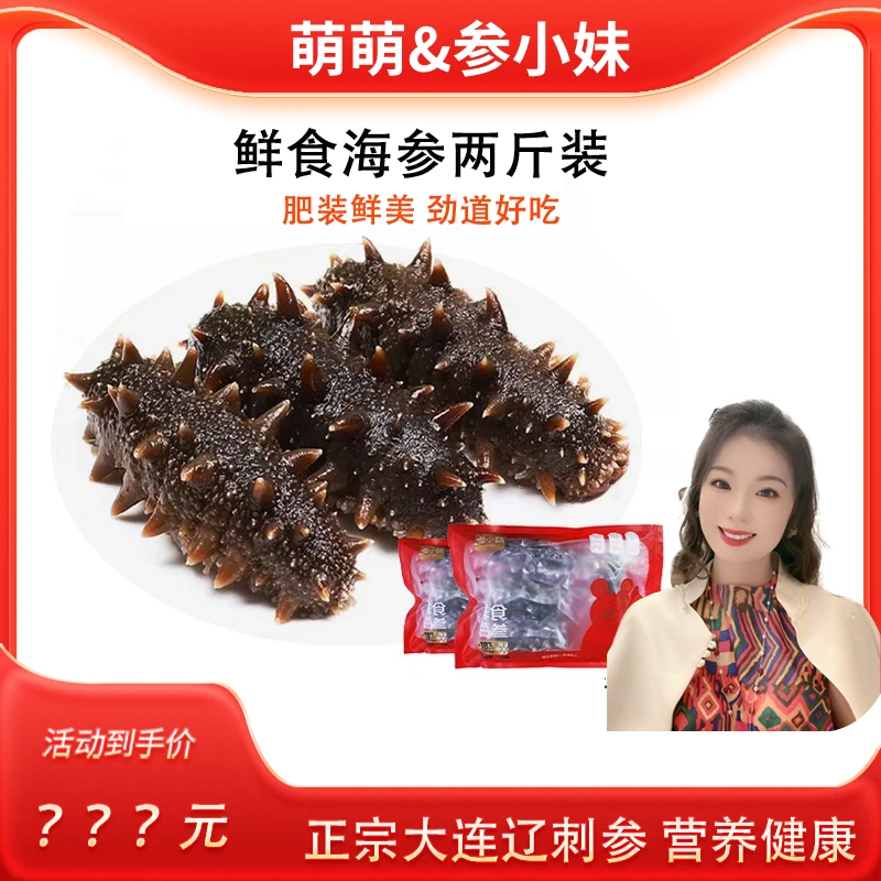 【萌萌推荐】参小妹鲜食海参两斤热销装10-12头/斤 正宗大连辽刺参