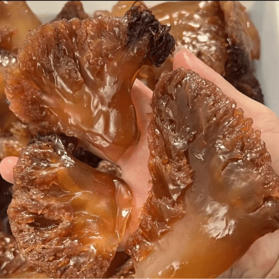 【阿儿海鲜】舟山正宗天然野生海蜇头精品海蜇凉拌菜爽脆净重5斤/桶