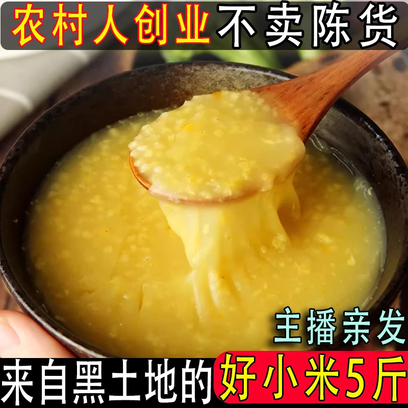 黄小米东北农家自产5斤散装10斤真空五谷杂粮孕妇月子米营养粥米