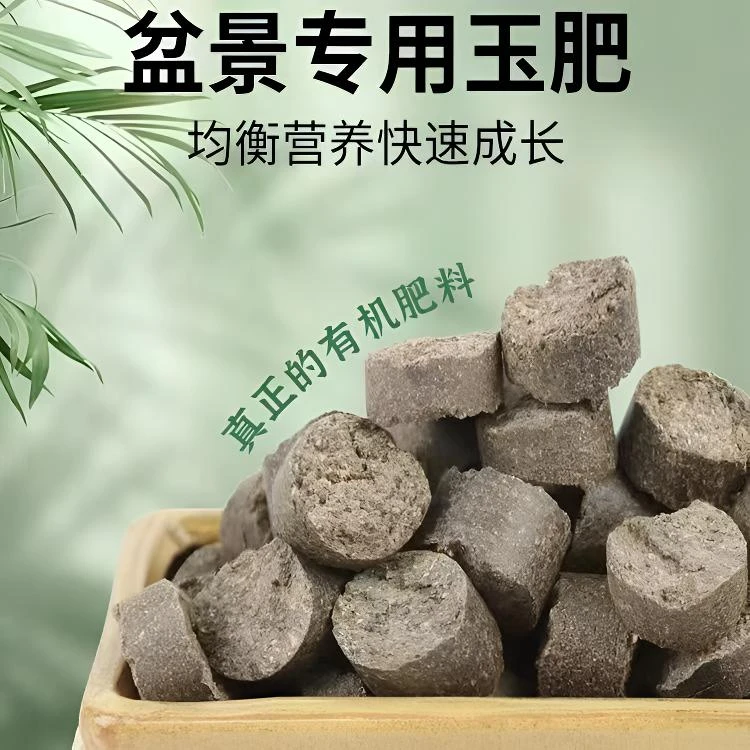 进口玉肥盒带盖肥料盒玉肥专用盒有机盆景肥料盒日本原装园艺工具