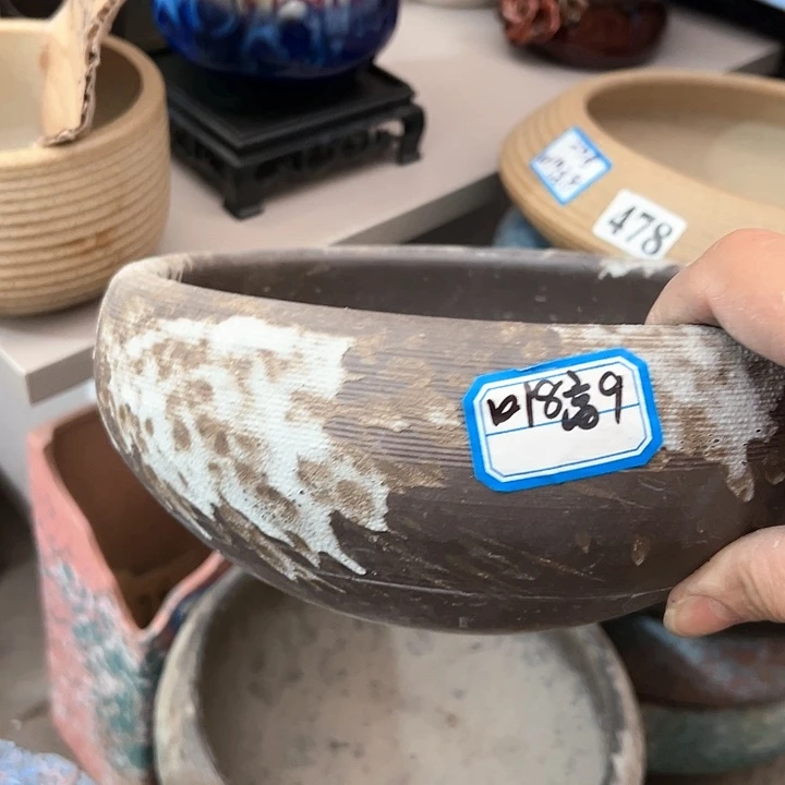 红陶20CM(含)-50CM(不含)