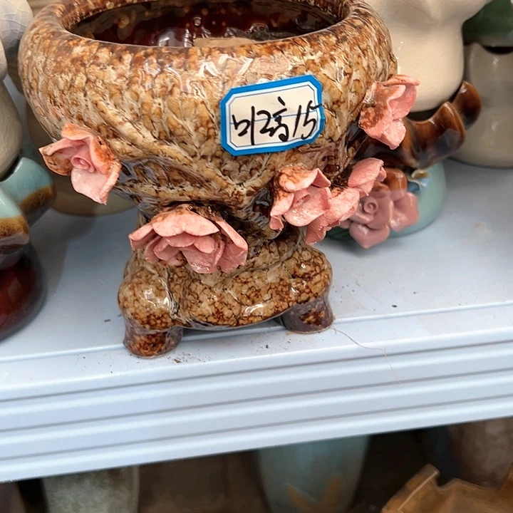 红陶20CM（含）-50CM（不含）